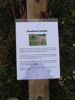 Faucheuse tractee Fahr (30eme fete des moissons de Saint-Jean-de-Touslas) (txt)